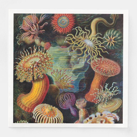 Serviette En Papier L'art de la nature par Ernst Haeckel (Devant)