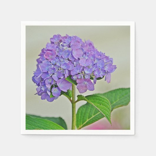 Serviette En Papier Lavender Hydrangea Blossom Papier Napkin (Devant)