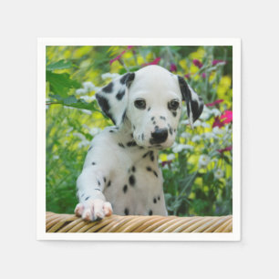 Serviette En Papier Le noir mignon a repéré la photo dalmatienne de