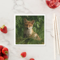 Le renard mignon dans une forêt verte Photo