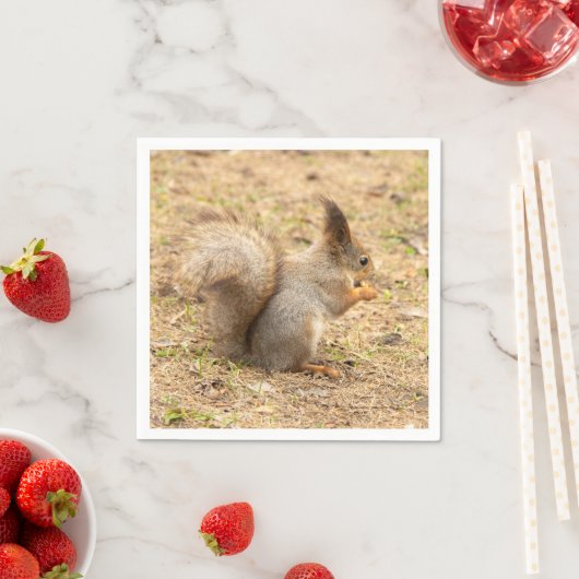 Serviette En Papier L'écureuil mignon mange une photo de noix (En situation)