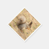 Serviette En Papier L'écureuil mignon mange une photo de noix (Coin)