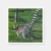 Serviette En Papier Lémurien mignon (Devant)