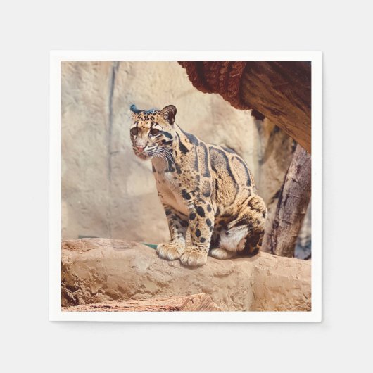 Serviette En Papier léopard nébuleux image nature faune exotique (Devant)