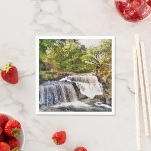 SERVIETTE EN PAPIER LES CHUTES D'EAU