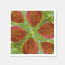 Les Feuilles d'amour de la nature