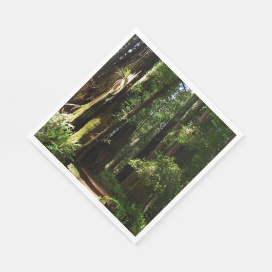 Serviette En Papier Les séquoias et les fougères du parc national Redw (Coin)