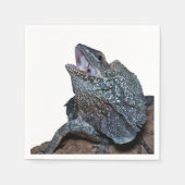 Serviette En Papier Lézard à col frisé (Devant)