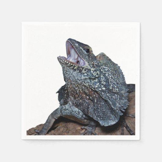 Serviette En Papier Lézard à col frisé (Devant)