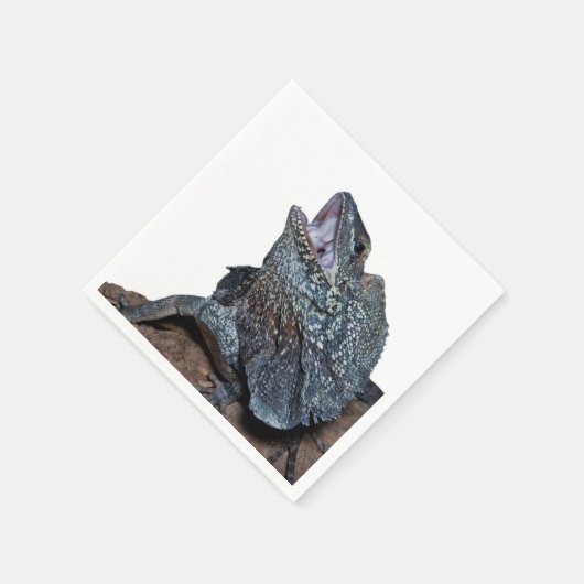 Serviette En Papier Lézard à col frisé (Coin)