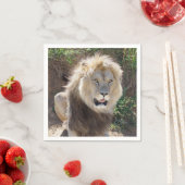 Serviette En Papier Lion assis sur les rochers (En situation)