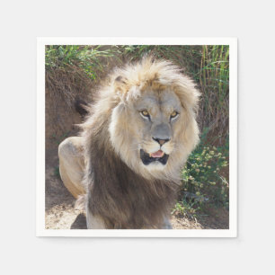 Serviette En Papier Lion assis sur les rochers