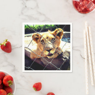 Serviette En Papier Lion Cub