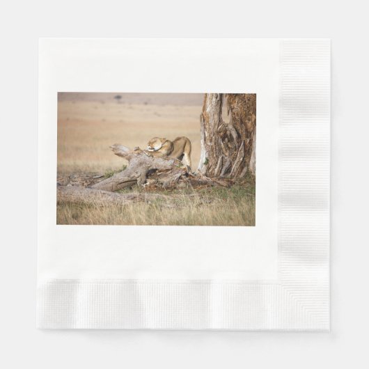 Serviette En Papier Lioness stretching (Devant)