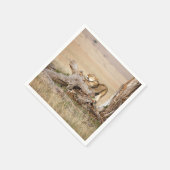 Serviette En Papier Lioness stretching (Coin)