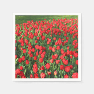 Serviette En Papier Lit des tulipes rouges 02