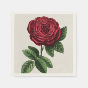 Serviette En Papier Lithographie de rose antique, François-Frédéric Gr