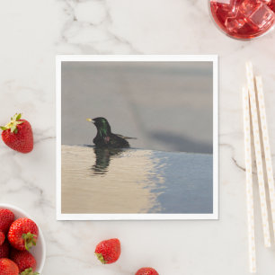 Serviette En Papier Little Bird