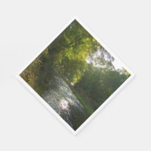 Serviette En Papier Little Patuxent River de Savage Park (Coin)