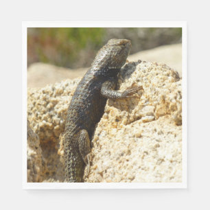 Serviette En Papier Lizard d'épinette à dos jaune à Joshua Tree