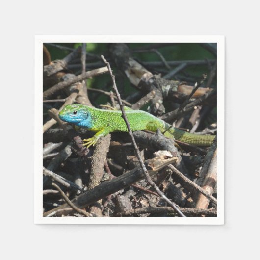 Serviette En Papier Lizard Photo Cocktail Papier à cocktails Napkins (Devant)