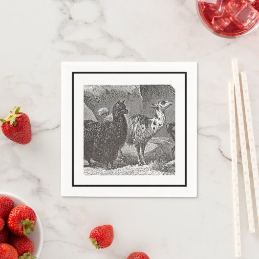 Serviette En Papier Llama Alpaca noir et blanc Andes Animal Art (En situation)