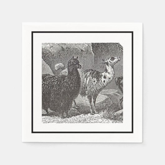Serviette En Papier Llama Alpaca noir et blanc Andes Animal Art (Devant)