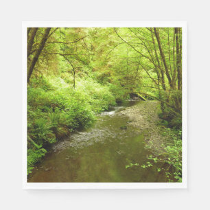 Serviette En Papier Lost Man Creek I au parc national de Redwood