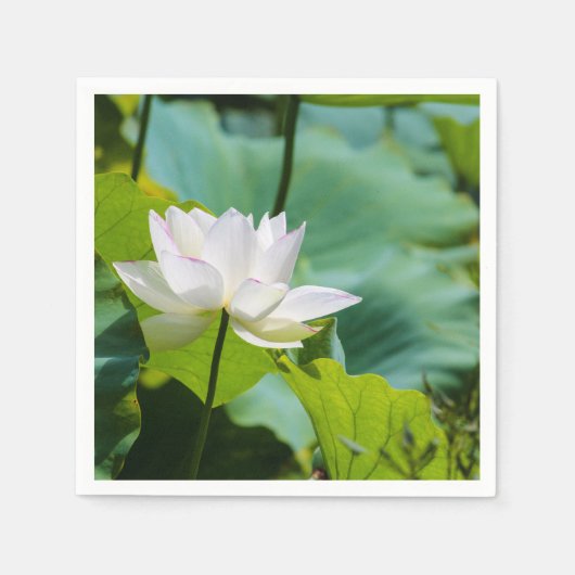 Serviette En Papier Lotus (Devant)