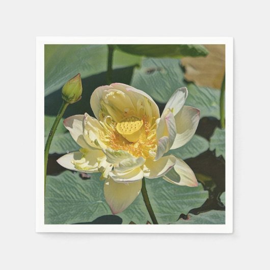 Serviette En Papier Lotus Blossom (Devant)