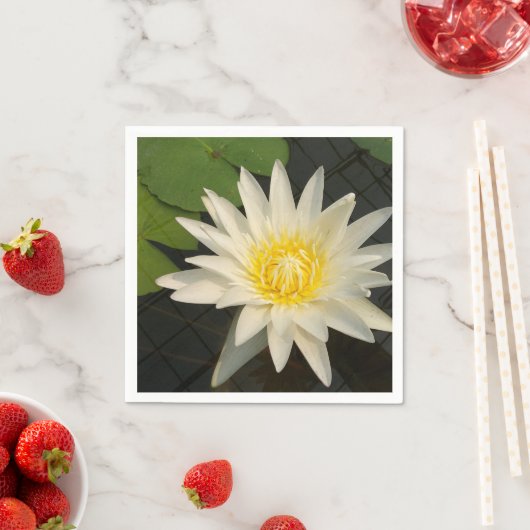 Serviette En Papier lotus, fleur, nature, fleur, floraison, floral, pl (En situation)