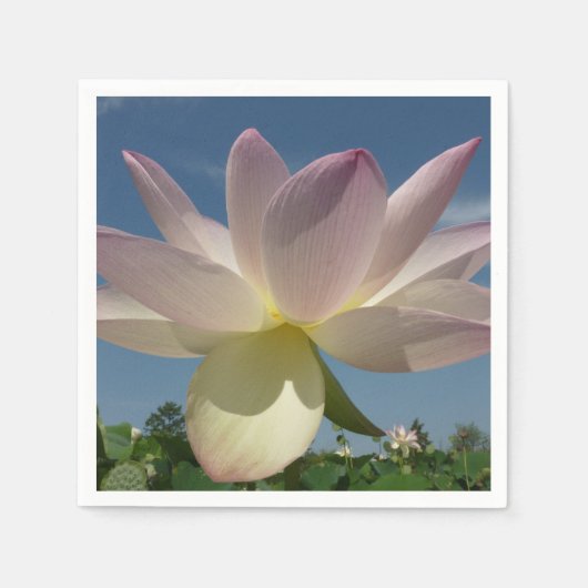 Serviette En Papier Lotus Flower et Blue Sky II (Devant)