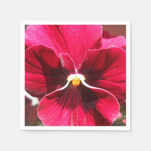 Serviette En Papier Lucrezia (Devant)