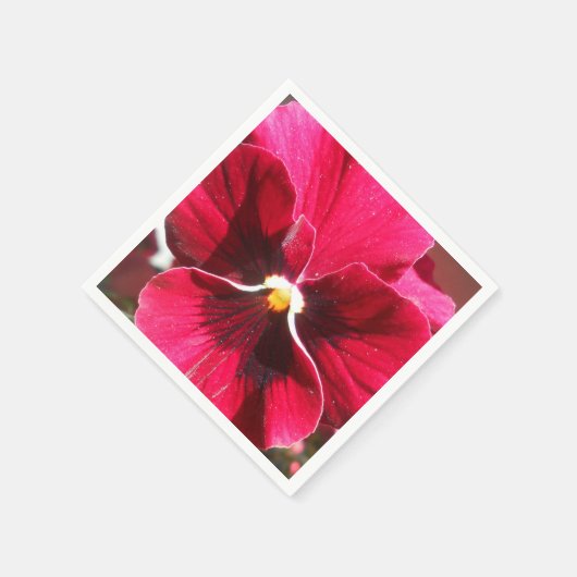 Serviette En Papier Lucrezia (Coin)