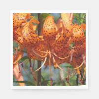 Lys de tigres du Jour de la Pluie