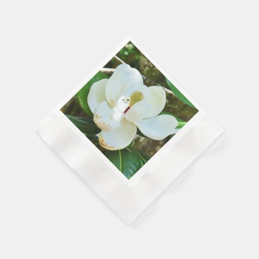 Serviette En Papier Magnolia (Coin)