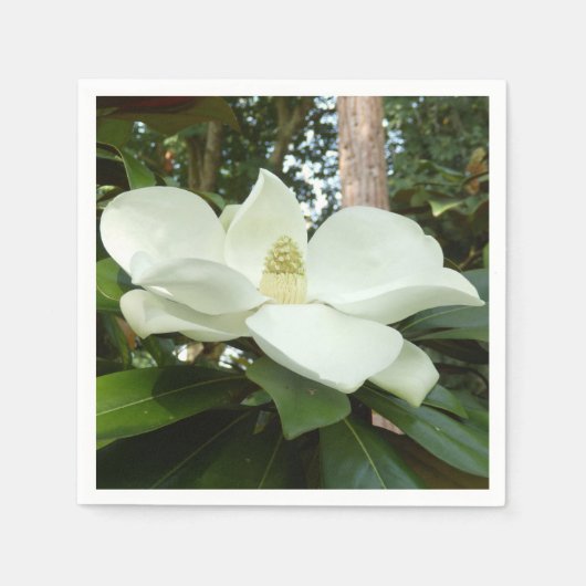 Serviette En Papier Magnolia Grandiflora Papier Naples (Devant)