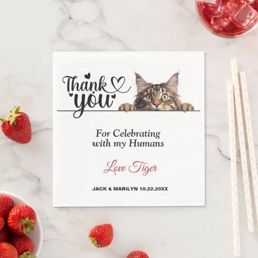 Serviette En Papier Maine Coon Peeking Papier Chat serviettes (En situation)