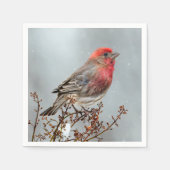 Serviette En Papier Maison Finch en Neige - Photo originale (Devant)