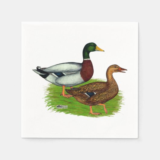 Serviette En Papier Mallard Drake et Duck (Devant)