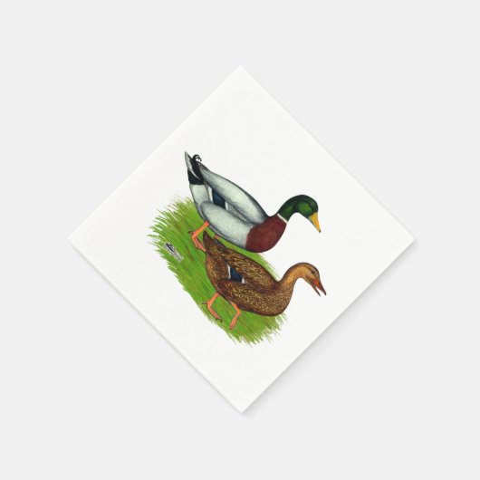 Serviette En Papier Mallard Drake et Duck (Coin)