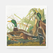 Serviette En Papier Mallard Duck par John James Audubon (Devant)