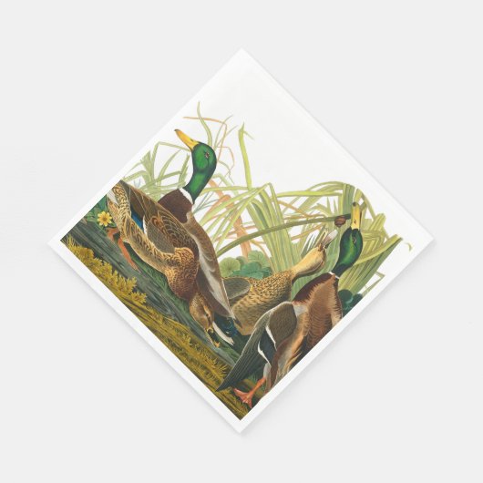 Serviette En Papier Mallard Duck par John James Audubon (Coin)