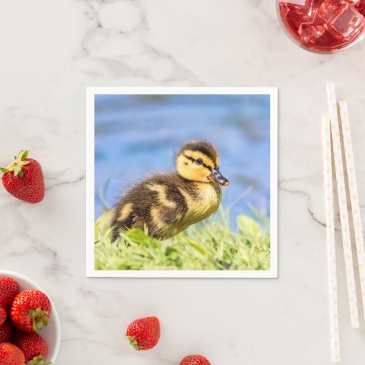 Serviette En Papier Mallard Duckling (En situation)