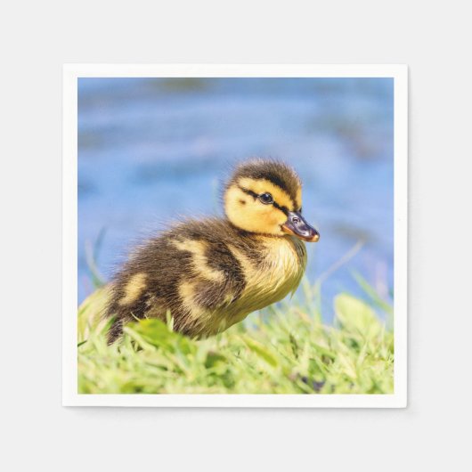 Serviette En Papier Mallard Duckling (Devant)