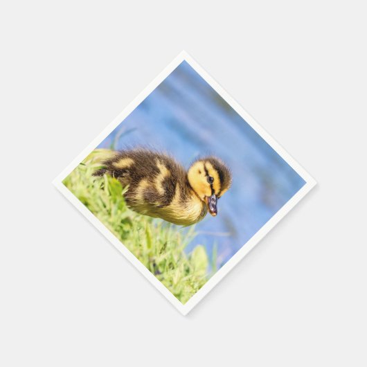 Serviette En Papier Mallard Duckling (Coin)