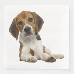 Serviette En Papier Mariage de chien chiot Beagle Fête