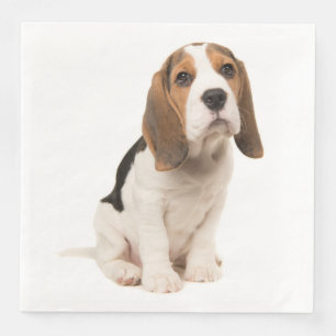 Serviette En Papier Mariage de chien de race Beagle chiot Fête de mari