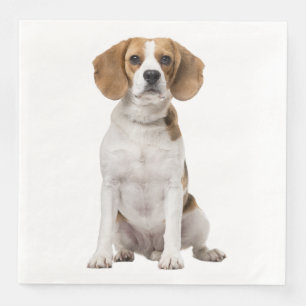 Serviette En Papier Mariage de chien de race Beagle chiot Fête de mari
