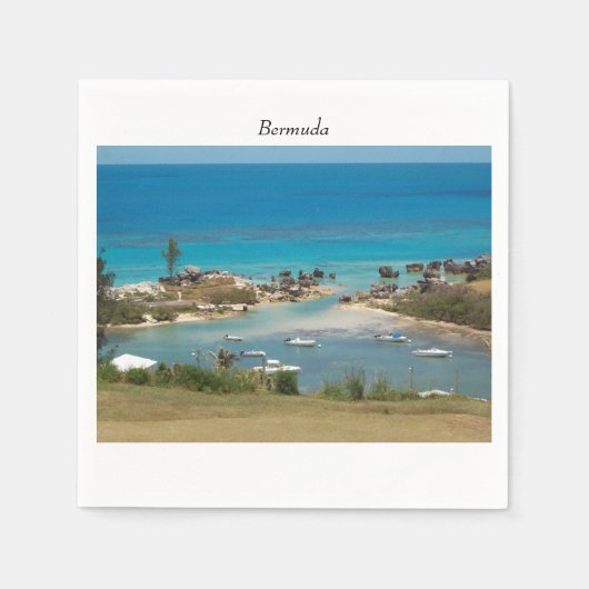 Serviette En Papier Marina de Bermudes Cove (Devant)